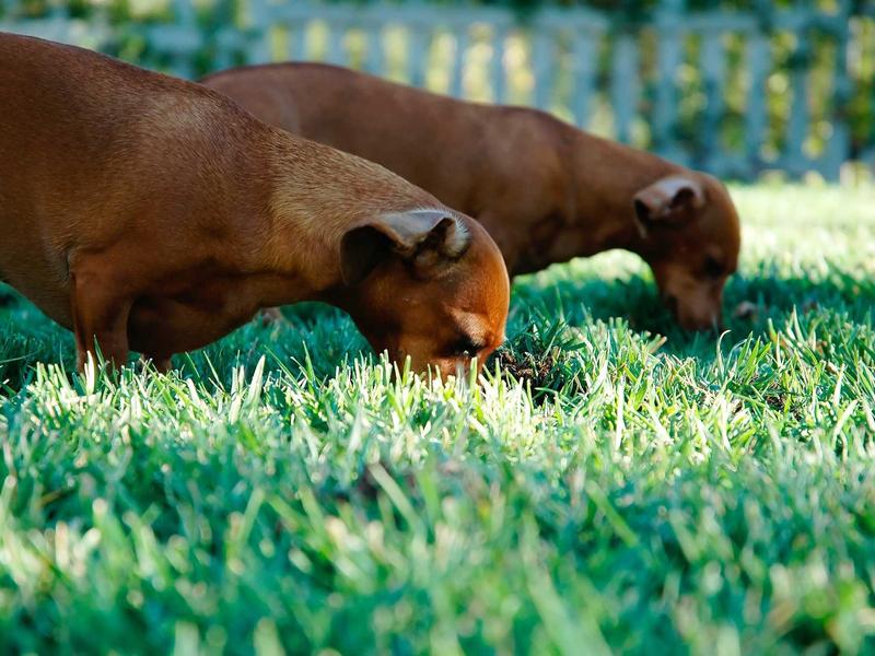 sudoku greater than screenshot 6